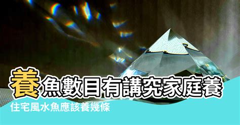 魚數目 風水|陽宅風水【養風水魚】要養幾多條？